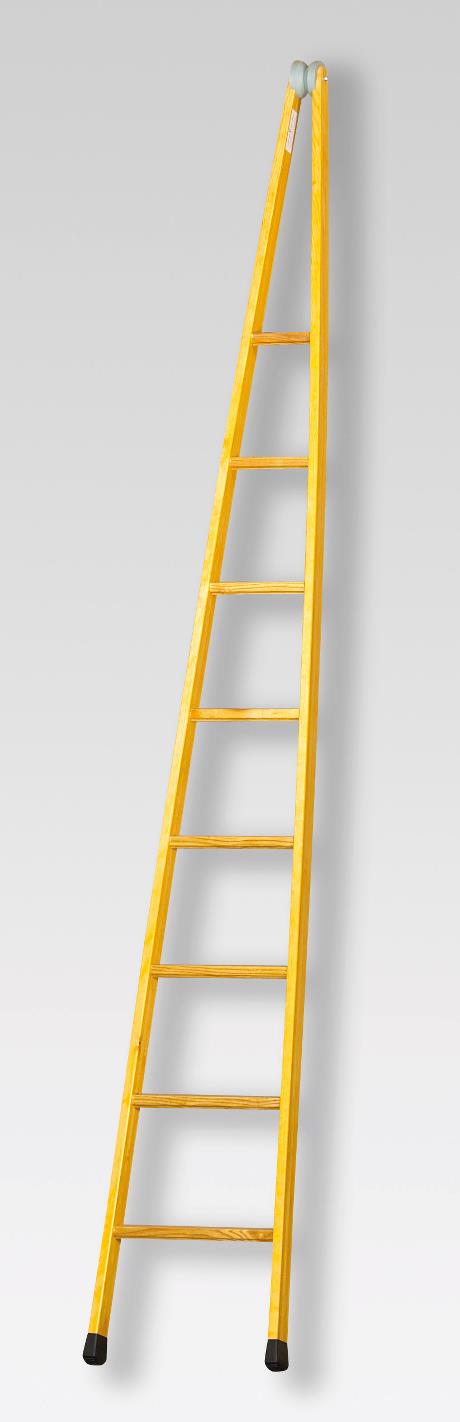 Pointed ladder, 8 rungs